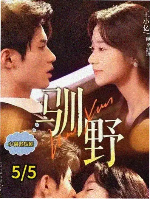 爱的迫降